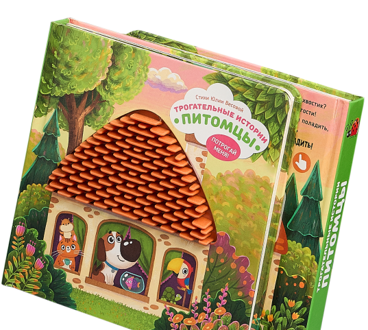 книга